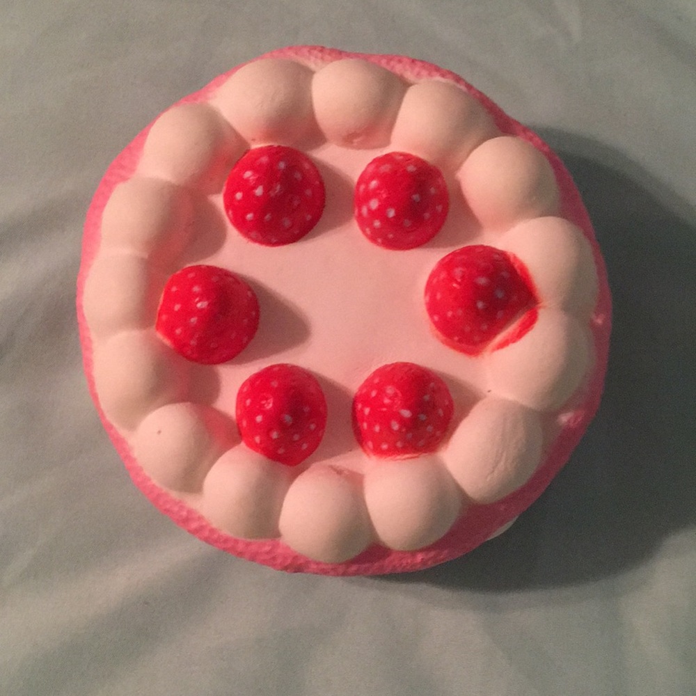 Cake squishy
